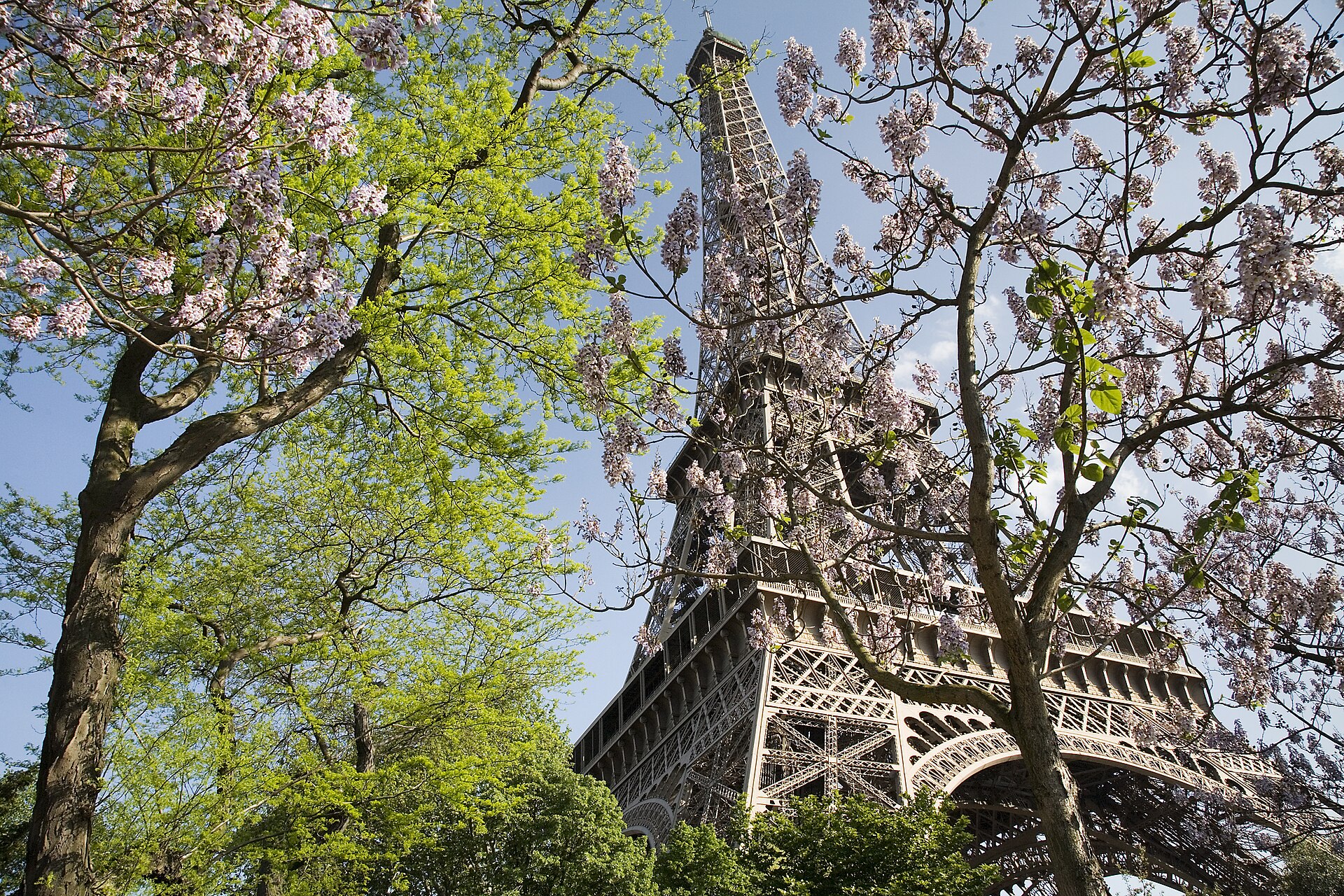 Torre Eiffel 1/1