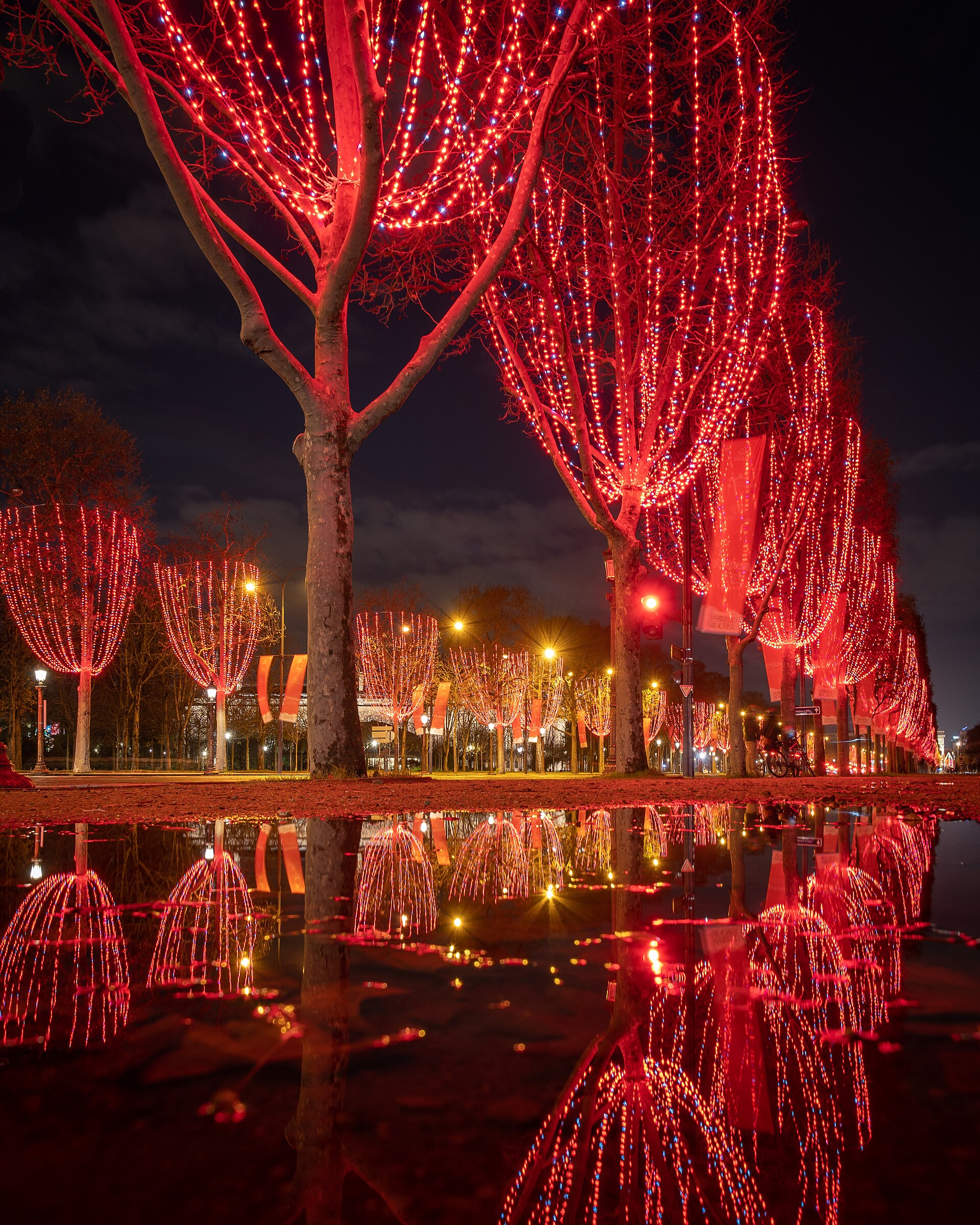 Avenue des Champs-Élysées 1/1